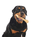 Khaki - Back - Floso Bone Rubber Dog Chew Toy