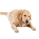 Khaki - Side - Floso Bone Rubber Dog Chew Toy