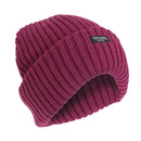 Raspberry - Front - FLOSO Ladies-Womens Chunky Knit Thermal Thinsulate Winter-Ski Hat (3M 40g)